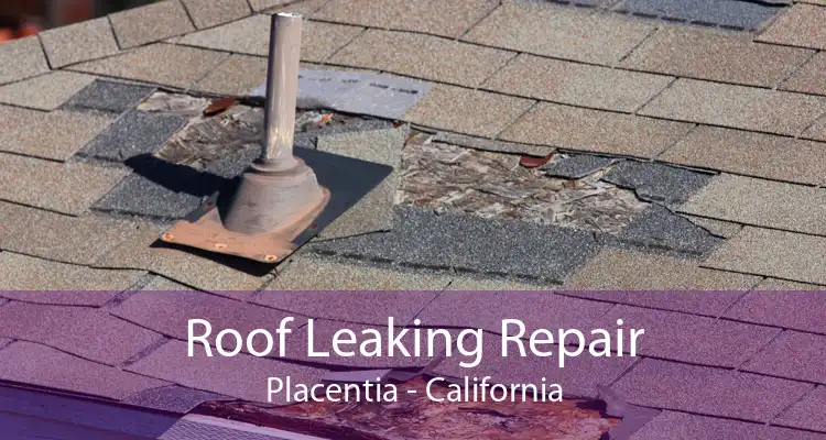 Roof Leaking Repair Placentia - California