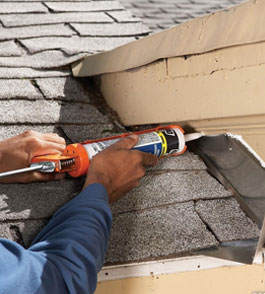 Roof Leaking Repair  in Placentia